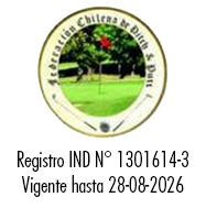 Fechipp.cl Logo